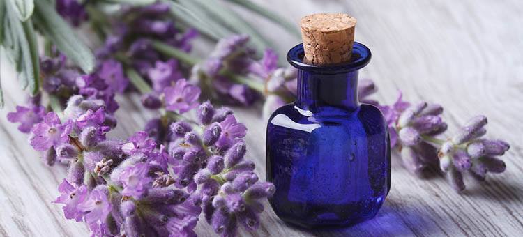 Essential Oils Treating More Than Anxiety